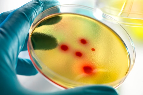 Petri Dish Containing Cultured Bacteria